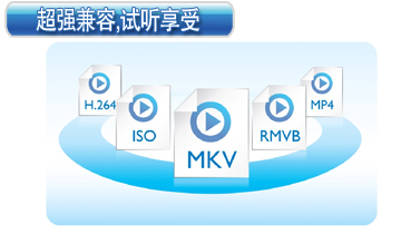 sd/ms/mmc存储卡接口,无需格式转换,轻松播放移动设备中的媒体文件