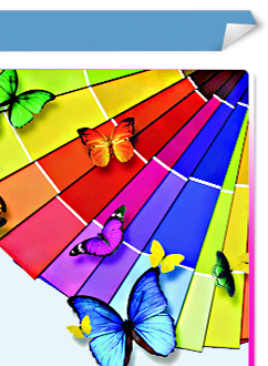 a895-65000   a914-65991 竹炭森呼吸5合1超值套装 彩色装 沁蓝飞瀑