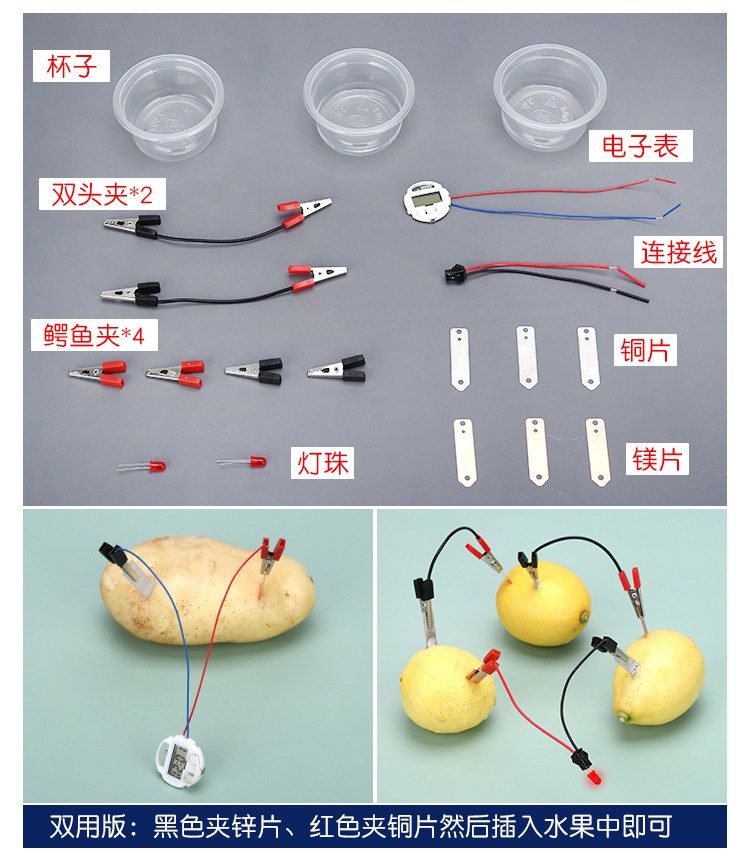 仓梵diy可乐土豆柠檬水果电池发电时钟科学小实验材料器材幼儿园小学