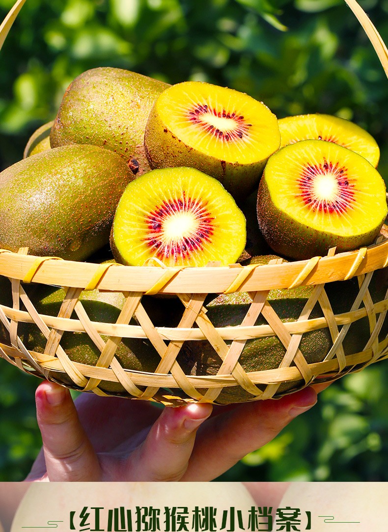 四川浦江红心猕猴桃当季新鲜水果奇异果红阳猕猴桃泥猴桃水果 15枚装