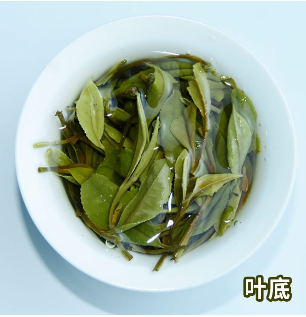 上清老街桐木森林野茶白茶 桐木白茶500克【图片 价格 品牌 报价】