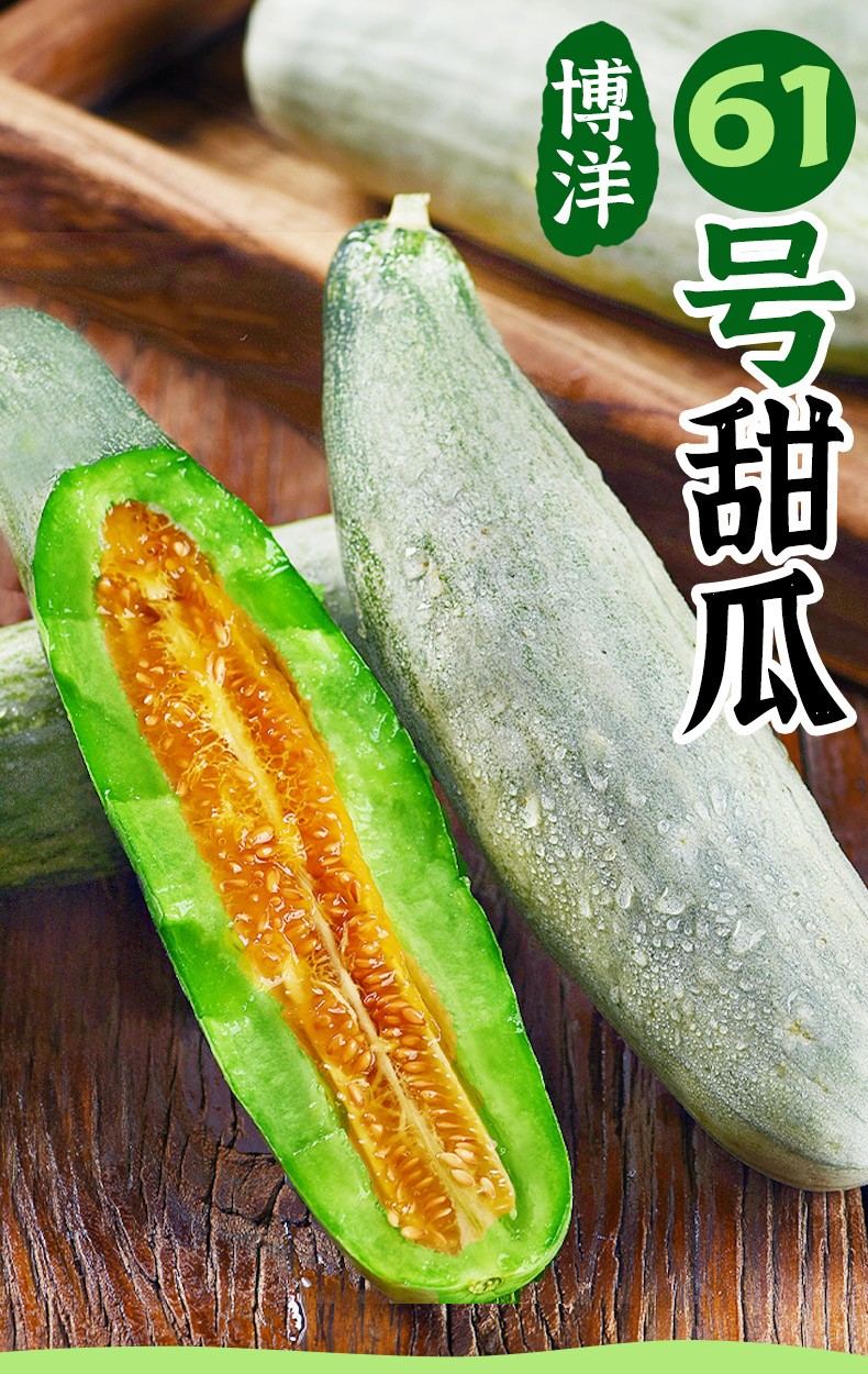 【顺丰】新鲜头茬山东羊角蜜博洋61甜瓜现摘应季蜜瓜彩色礼盒装 博洋