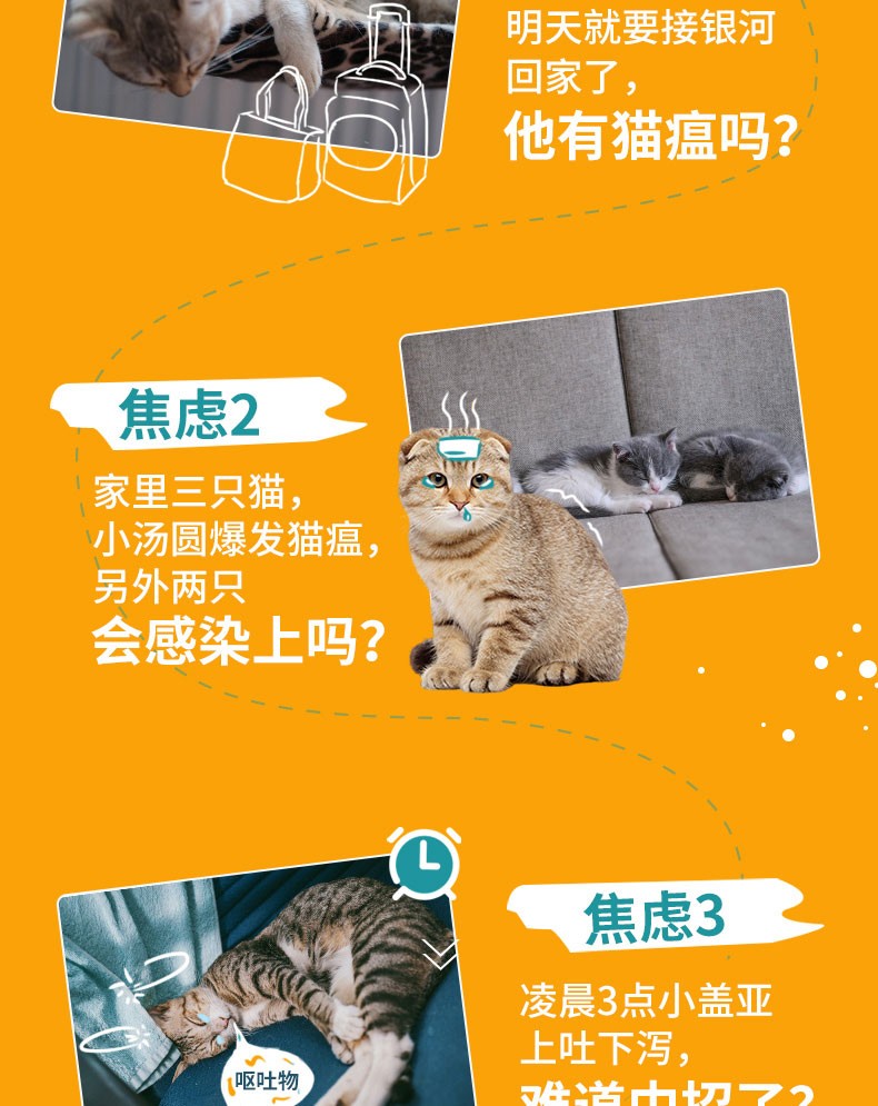 discopet喵星探索猫瘟试纸病毒检测猫咪fpv检测卡便携装宠物店同款瘟