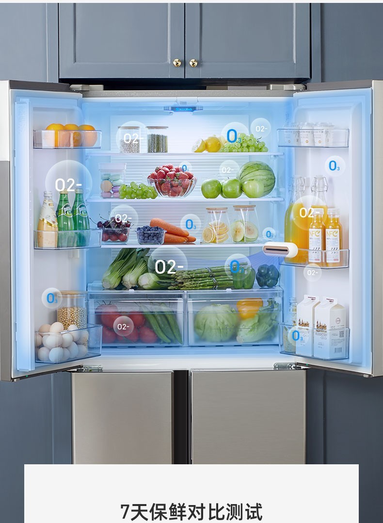 eraclean世净冰箱除味器保鲜消毒器家用杀菌冰箱净化器冰箱除味剂除臭