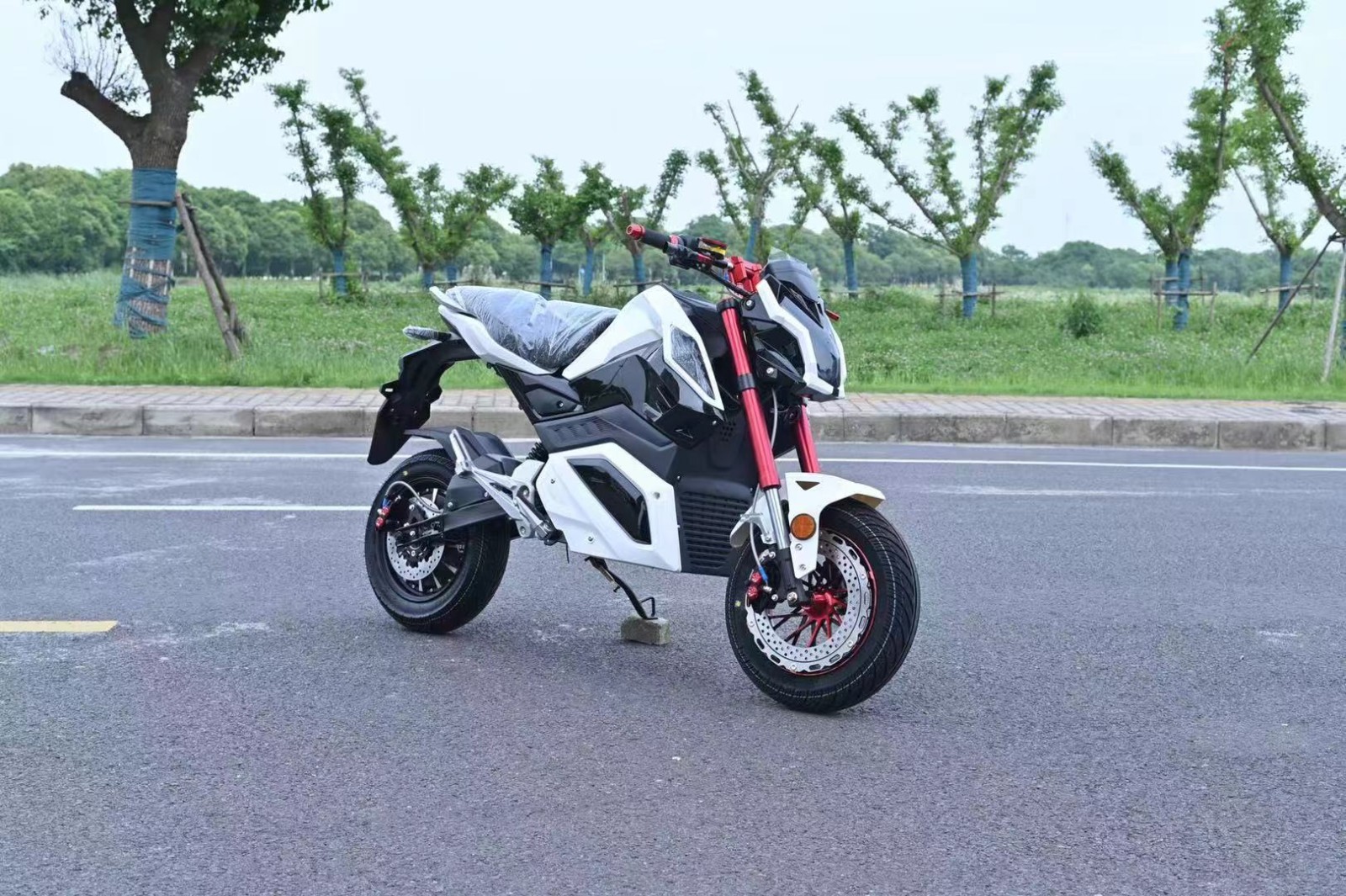 小猴子z6电摩m5小怪兽电瓶车中置电动车改装款成人酷车全部碟刹 白色