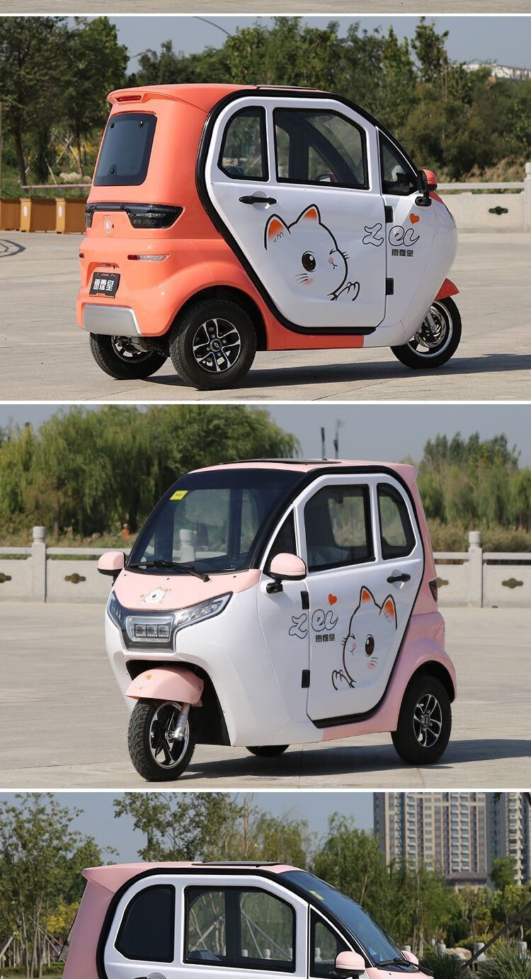 雷霆皇新款q6高配电动三轮车全封闭式车家用代步车国标可上牌 60伏60