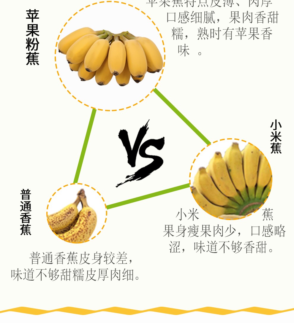 东莞馆香蕉苹果蕉小米蕉芭蕉粉蕉新鲜水果粉蕉5斤装