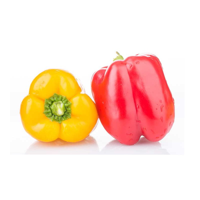 蔬菜 葱姜蒜椒 湘贞缘农庄 湘贞缘农庄 彩椒5斤 灯笼椒 七彩椒 柿子椒