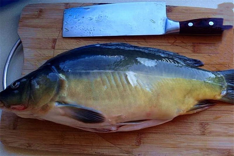 東北松花江特產斑鯉魚光鯉魚無鱗魚鮮活速凍三道鱗大