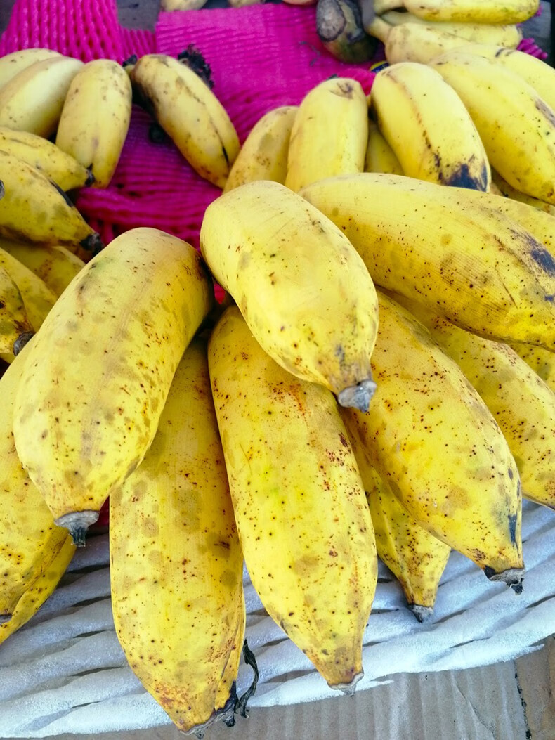 广东高州原生态粉蕉 3/5斤小时候的味道新鲜南蕉丑蕉芭蕉 果园直发