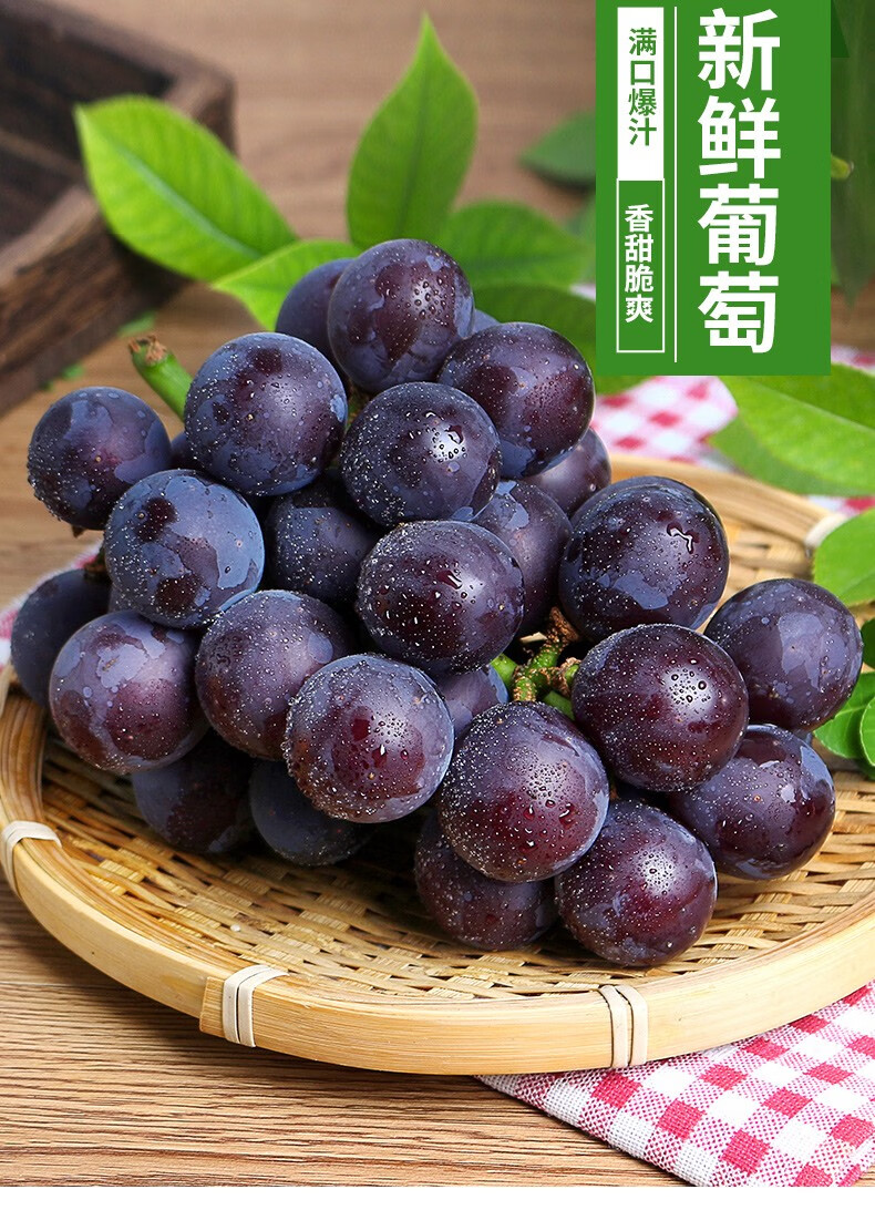 巨峰葡萄 辽峰大葡萄新鲜水果特产无籽葡萄 4斤装【图片 价格 品牌