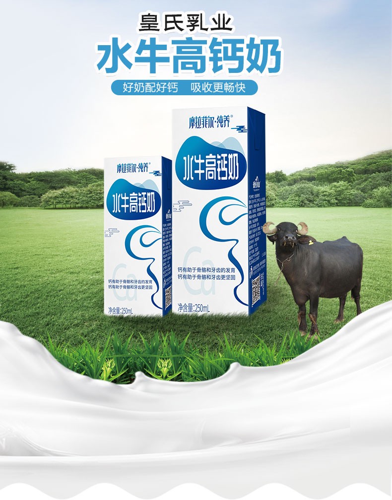 广西皇氏乳业高钙奶学生儿童补钙牛奶高钙奶250ml盒12