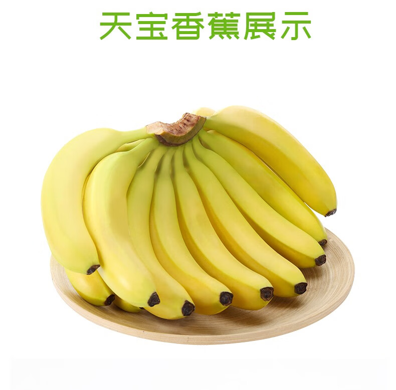 福建漳州天宝香蕉黄皮香蕉现割绿皮香蕉当季水果青香蕉天宝香蕉3斤