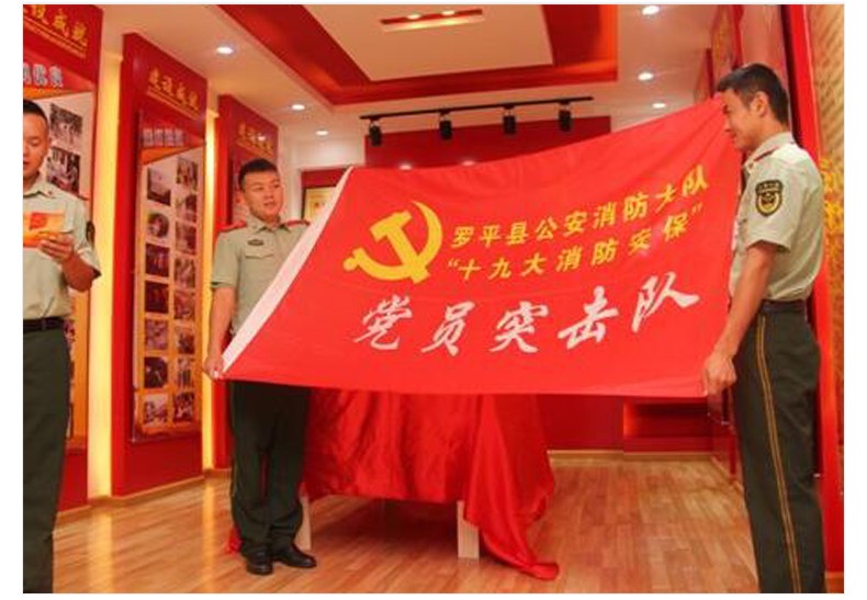 盛亨利党员突击队青年突击队旗帜印刷设计订做定制4号14496公分