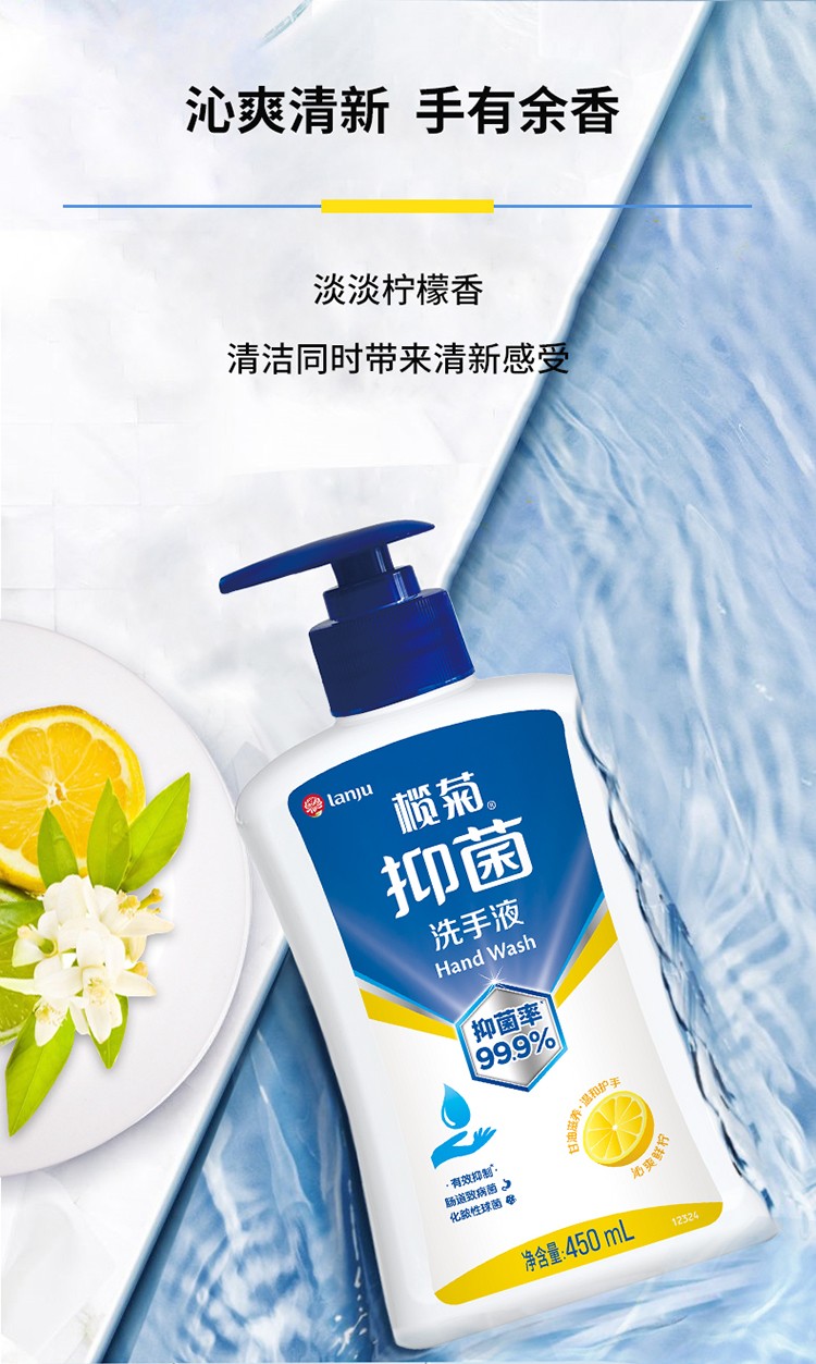 榄菊健康除菌抑菌洗手液450ml 洗手液450ml*2瓶【图片 价格 品牌 报价