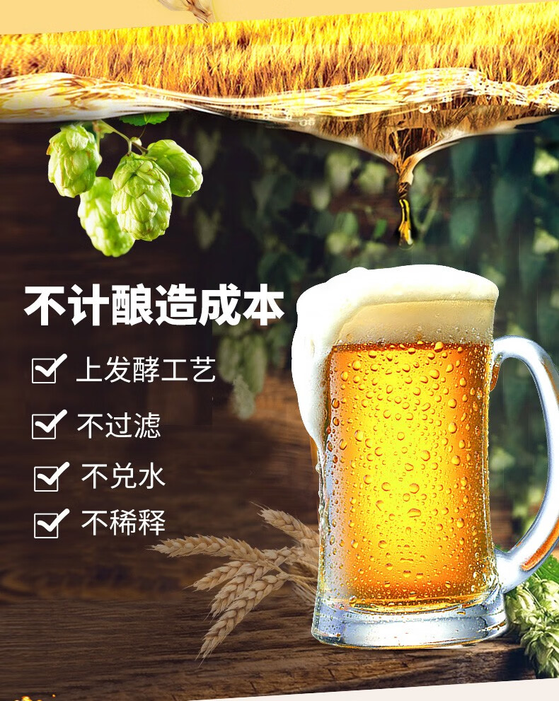 青岛崂印象精酿原浆啤酒 13度高度啤酒 崂山水系精酿啤酒整箱 精酿绿