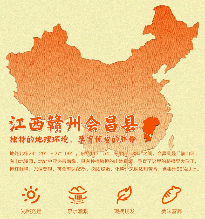 果蓏源学生专属核心产区地标认证赣南脐橙橙子水果礼盒毛重 果径60