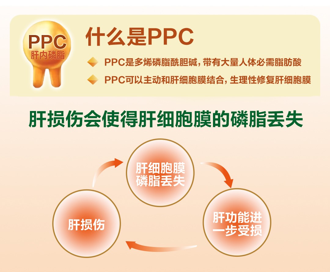 易善复多烯磷脂酰胆碱护肝片胶囊熬夜保肝养肝舒肝肝炎酒精肝脂肪肝