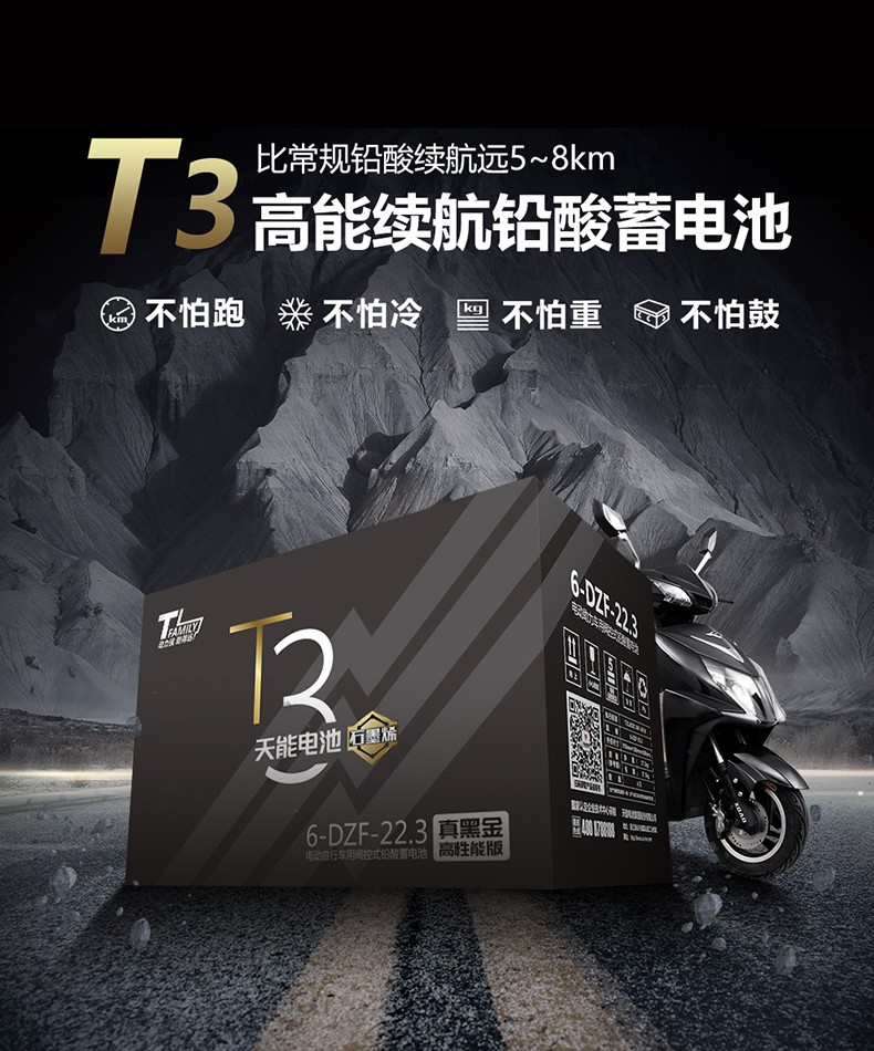 天能高端电池 高性能真黑金石墨烯48v22ah(4只装)二轮电动车电瓶车