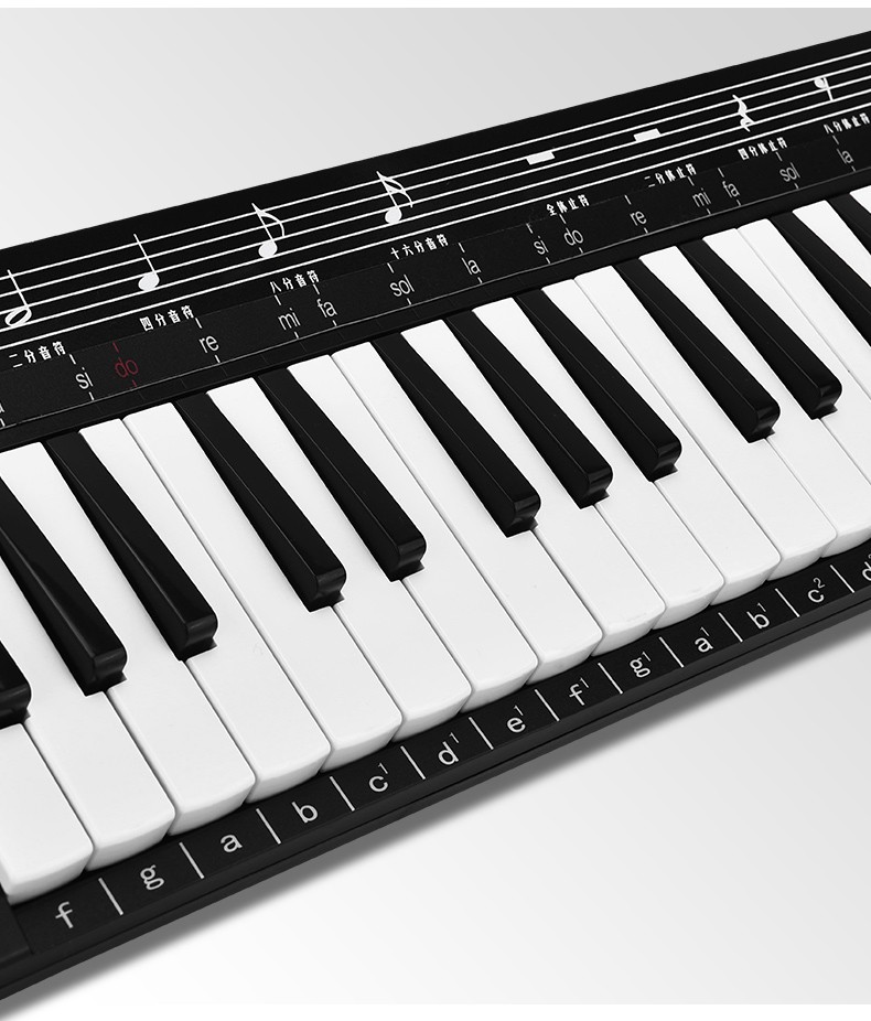 国光37键全乐理37键口风琴儿童学生初学者入门专业演奏级