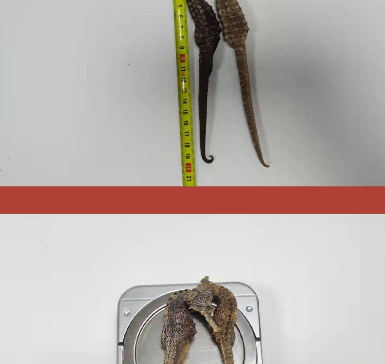 融草集海马公母海马药材泡酒煲汤中药材干货海马一对可选三斑海马2支