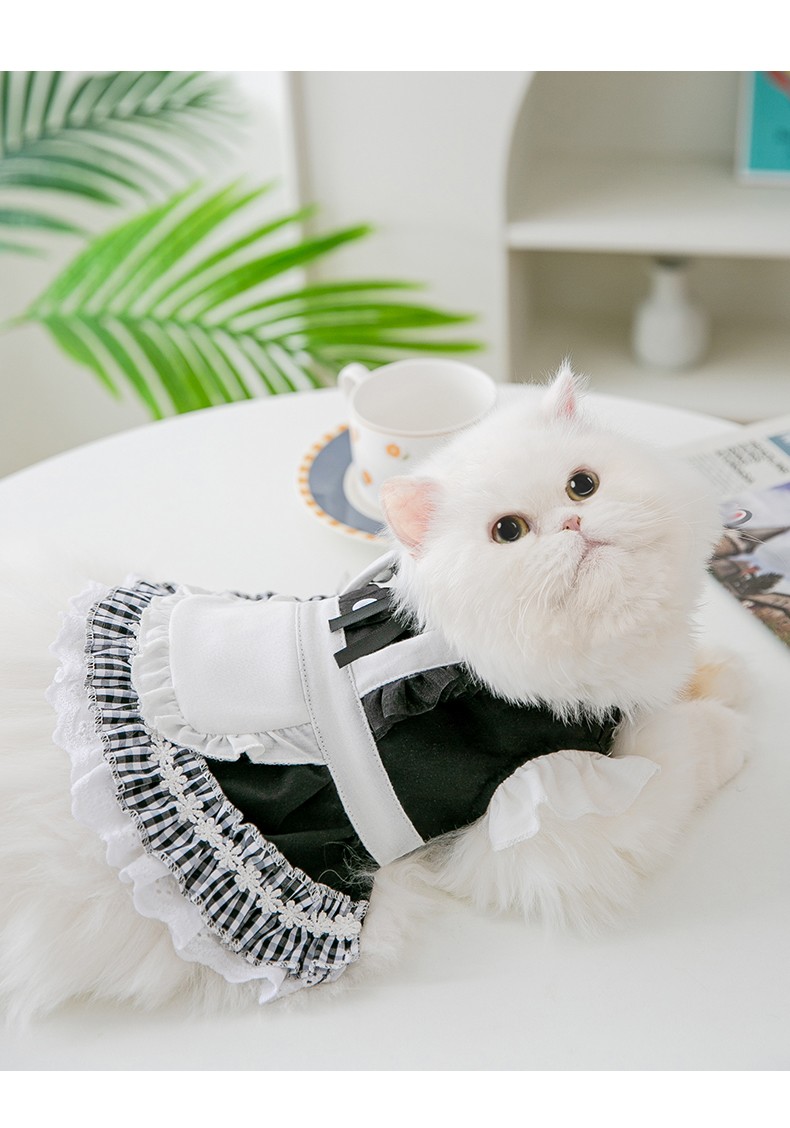 网红丝带领结花边女仆装小猫咪衣服春夏薄款防掉毛宠物布偶英短蓝猫