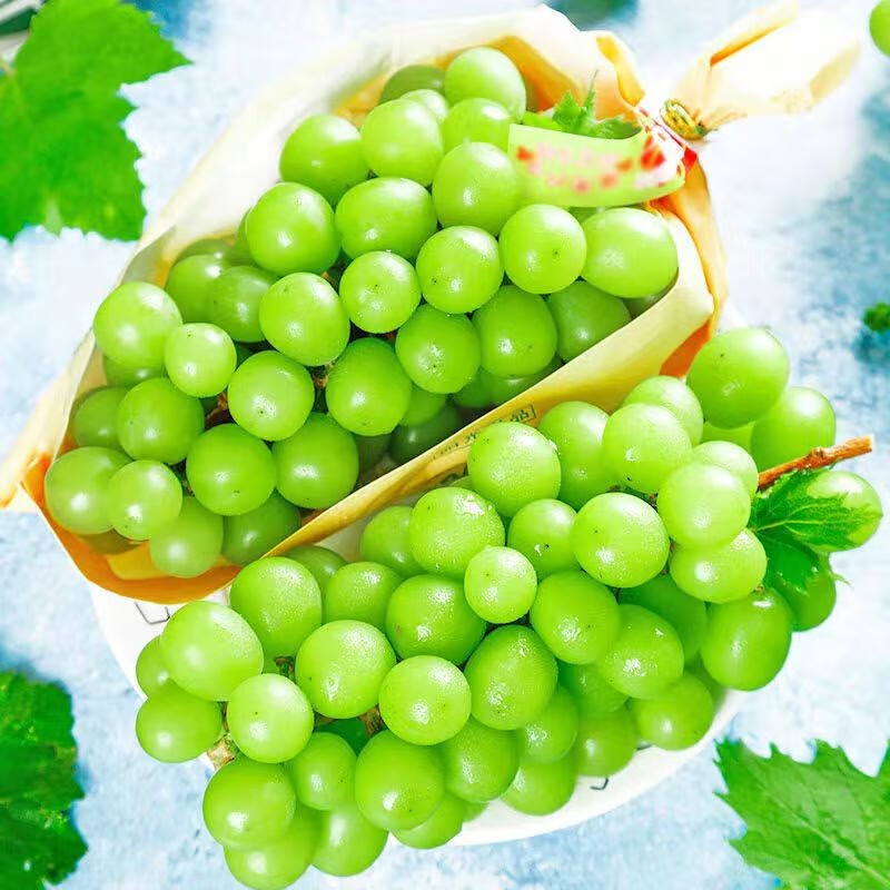 【顺丰】云南阳光玫瑰晴王香印青提无籽整串葡萄 新鲜采摘应季孕妇