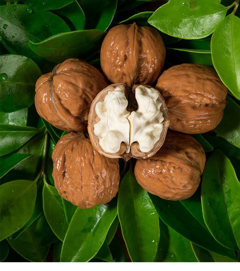 湿核桃去青皮新鲜非干核桃仁夹孕妇坚果老树嫩核桃现摘现发两斤装