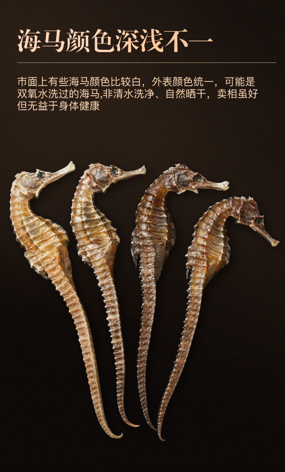 陈氏滋补堂海马干货海马药材公母配对 干海马可搭配海龙药材煲汤组合