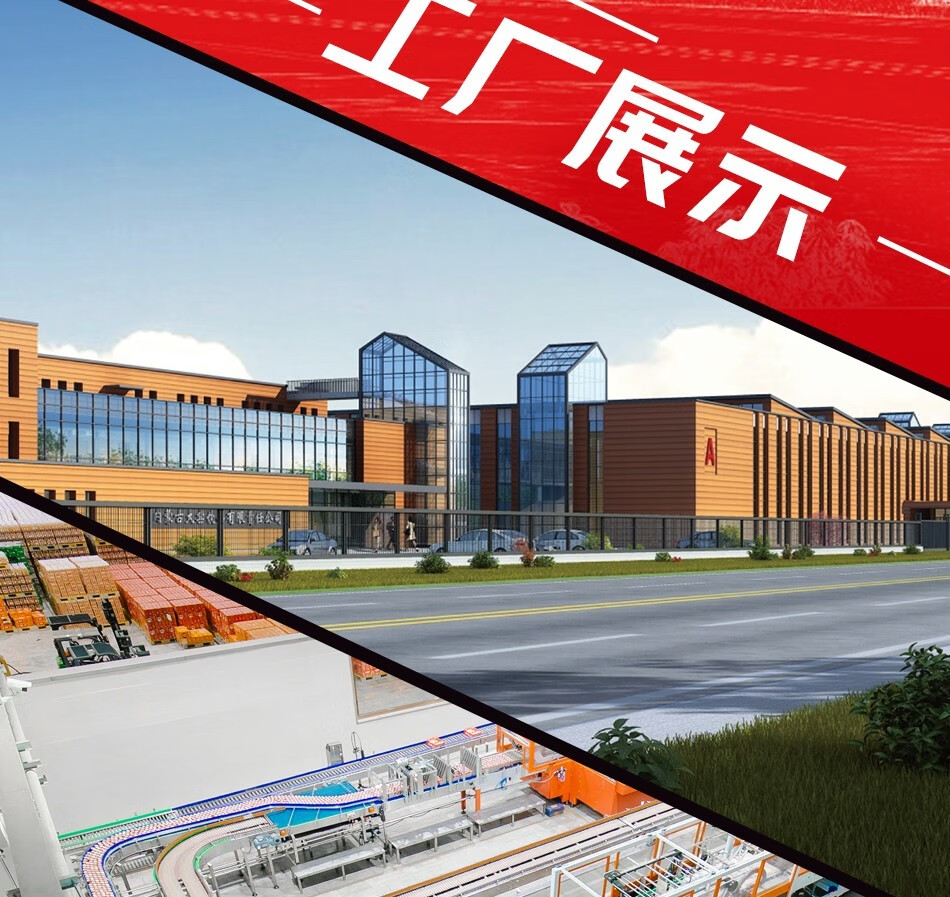 大窑 嘉宾碳酸饮料汽水听装330ml 内蒙古呼和浩特特产 网红怀旧饮品