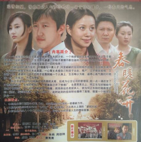电视剧春暖花开珍藏版11dvd李小冉潘虹李明启等主演