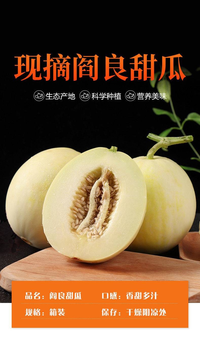 东方蜜白甜瓜小白瓜红肉蜜瓜香瓜水果小甜瓜现摘现发15斤装