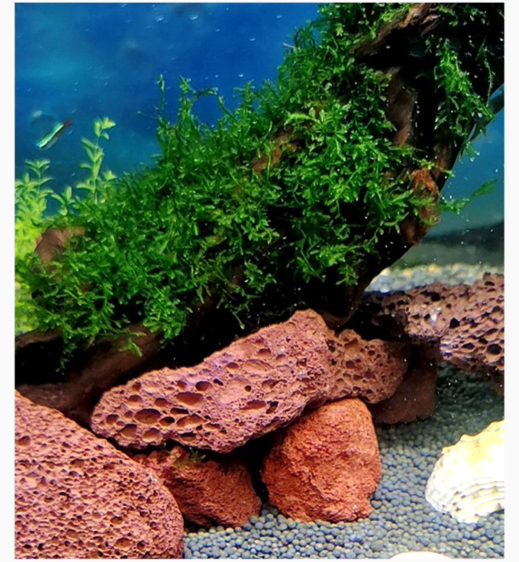 火山石颗粒天然滤材鱼缸过滤材料铺面拌土水族专用大块火山岩底砂24cm