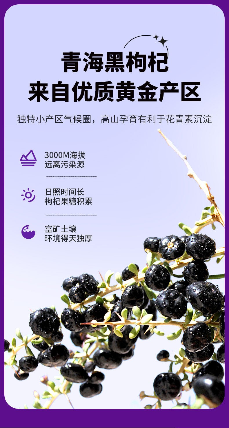 固本堂桑葚黑枸杞原浆210ml中宁鲜桑葚原汁黑枸杞原汁双黑11枸杞子