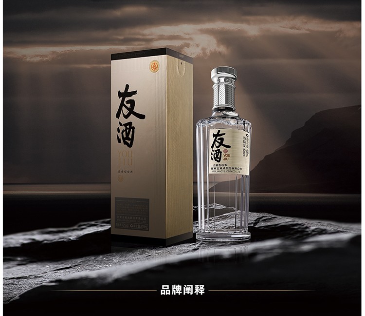 五粮液友酒友谊浓香型白酒液体酒水52度500ml6瓶整箱装