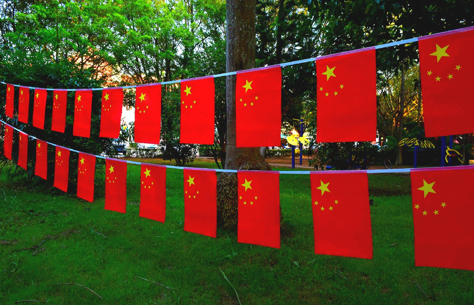 派榜8号中国小国旗串旗大7号五星小红旗国旗串旗党旗国旗商场国庆装饰