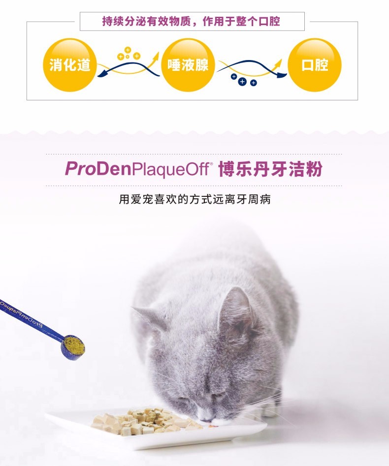 博乐丹洁牙粉proden猫咪狗狗牙洁粉去除口臭口炎牙结石牙垢清洁口腔