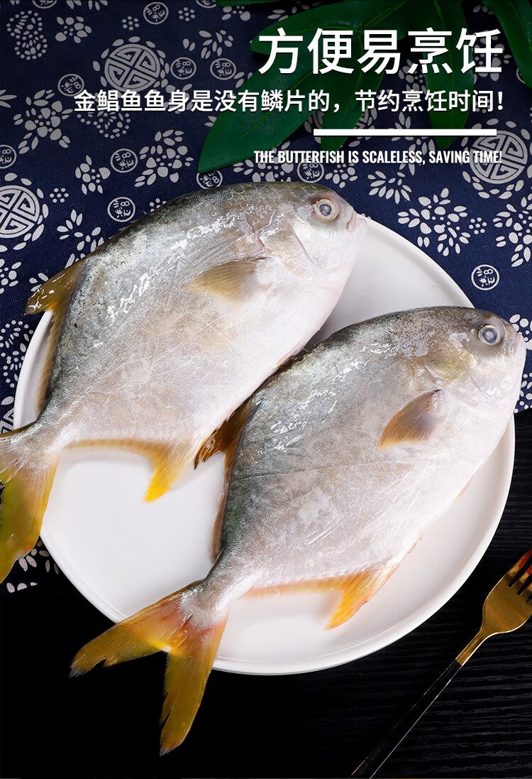 渔游记 青岛海捕活冻金鲳鱼袋装 大鲳鱼平鱼扁鱼 海鲜水产 特大号1条