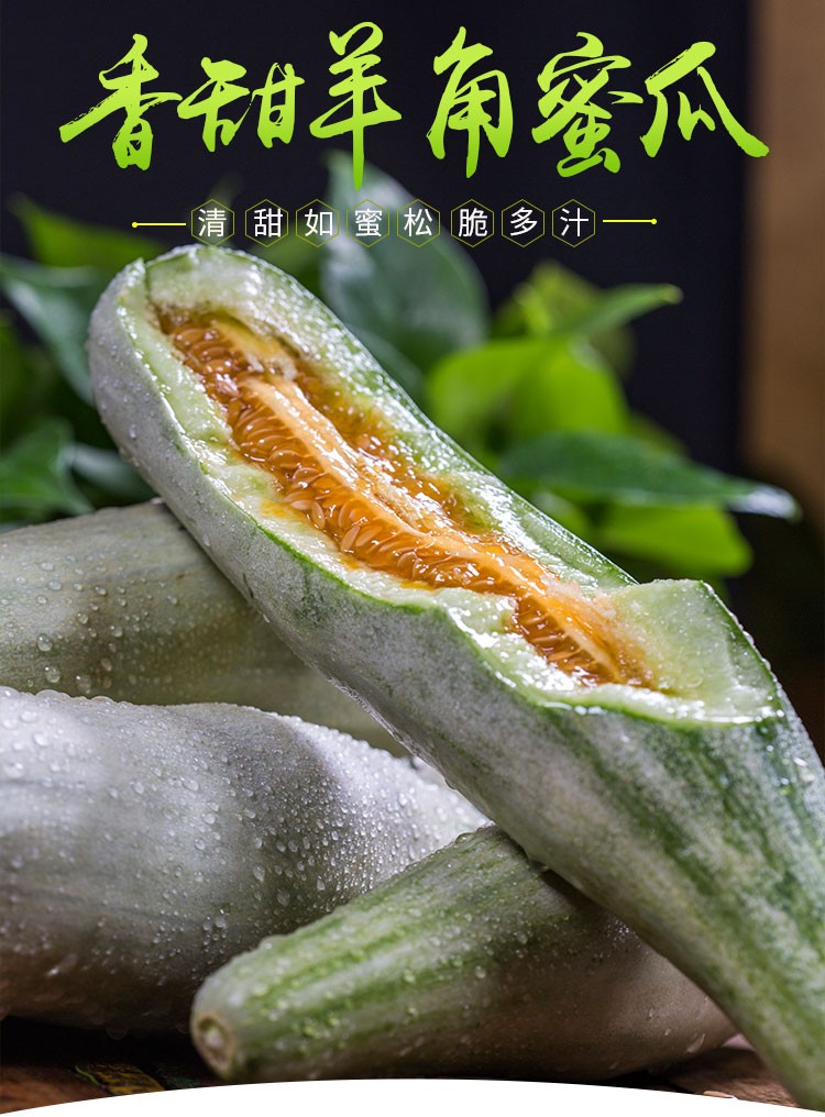 山东羊角蜜甜瓜当季新鲜水果现摘香瓜脆瓜博洋6号羊角蜜精选3斤装无