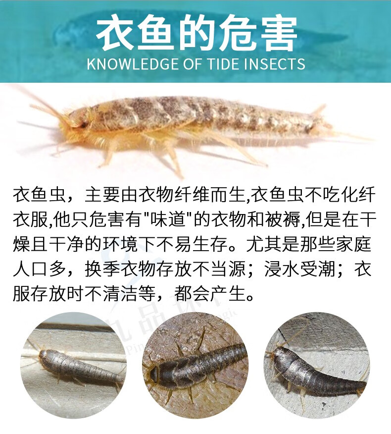 空消灭衣鱼虫药粉家用专用除杀衣鱼粉衣鱼药除虫卵