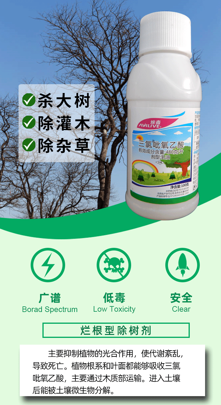 杀树王灭树除草剂速效除杂草阔叶杂草方瑞灌木乔木除树剂烂根大树注射