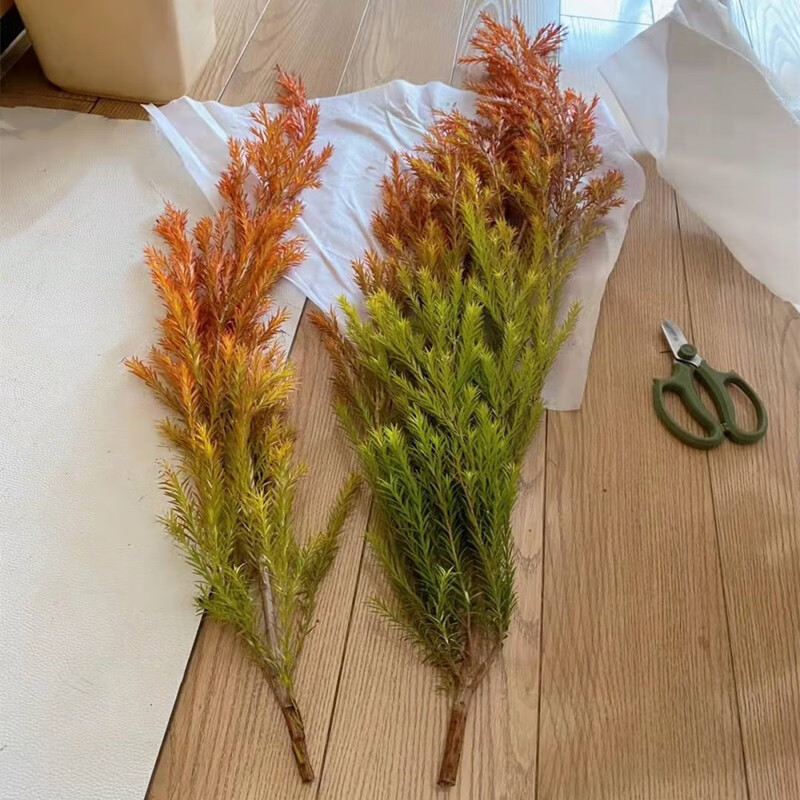 黄金香柳 香松 鲜切花 家庭插花云南昆明基地直发真花鲜花 千层金红色