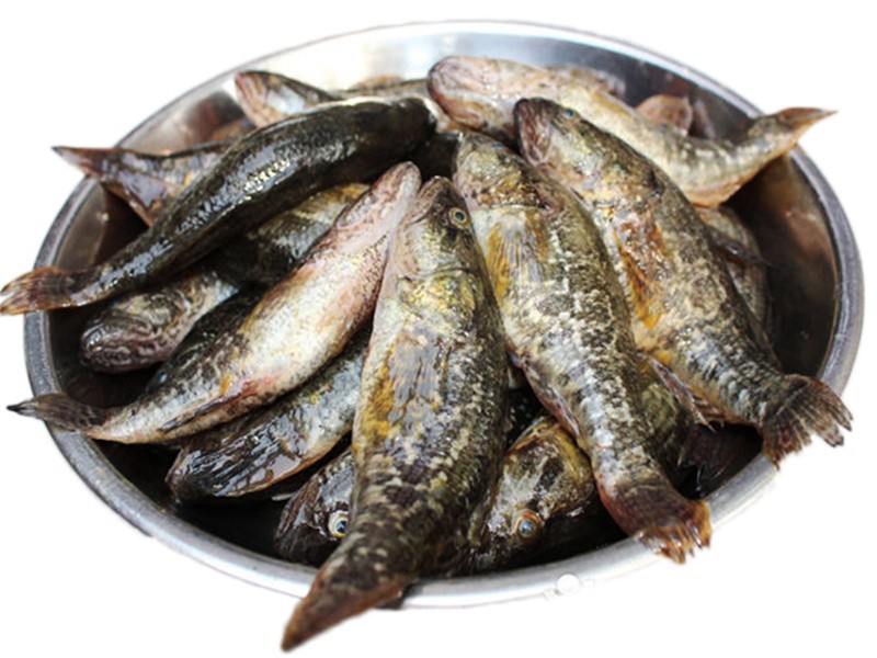 东北老头鱼 鲜活速冻开江鱼 黑龙江新鲜胖头 淡水鱼 博多客 3斤【每斤