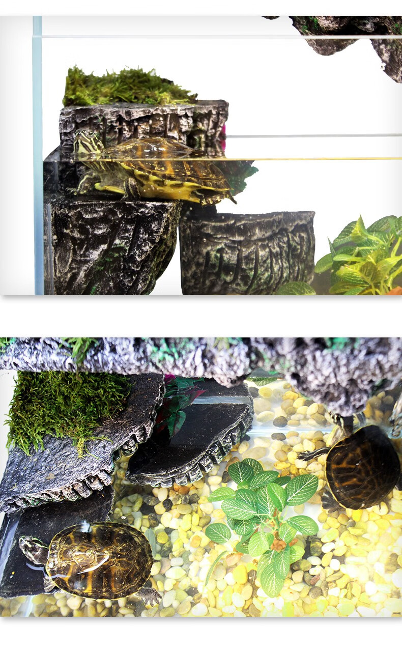 宝贝故事新中式玻璃龟缸居家乌龟缸造景养龟专用缸带过滤深浅水龟通用