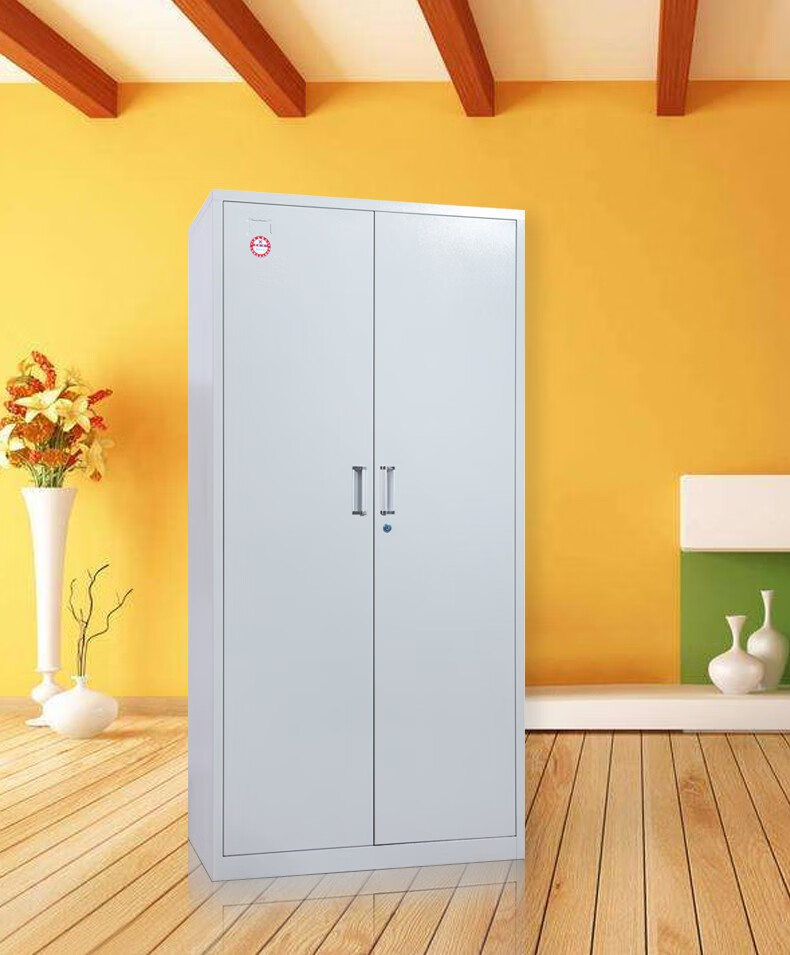瑾诚办公室更衣柜家用铁皮衣柜家用二门员工柜储物柜被褥柜通衣杆衣柜