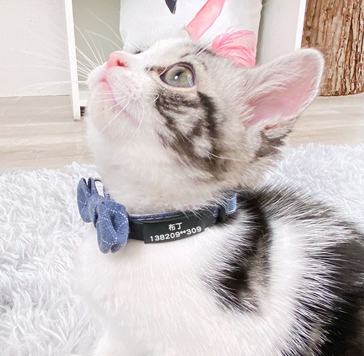 兰衍猫猫项圈刻字防走丢猫咪项圈安全扣宠物铃铛猫圈蝴蝶结猫猫颈圈脖