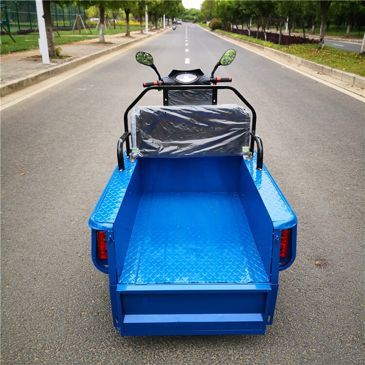 电动三轮车成人家用货运车平板车快递小型电瓶三轮车载重接送孩子