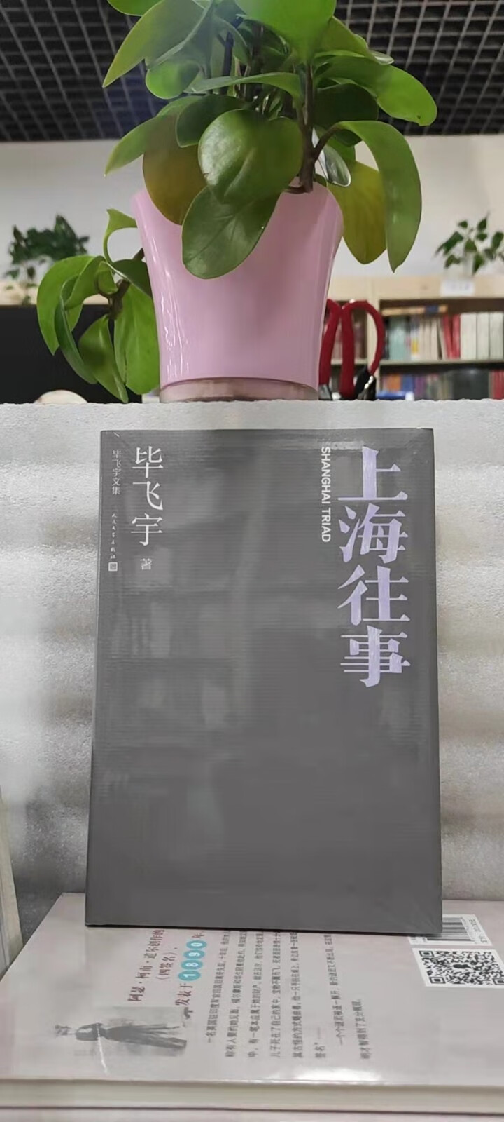 毕飞宇文集套装共11册小说课推拿玉米青衣上海往事相爱的日子雨天的