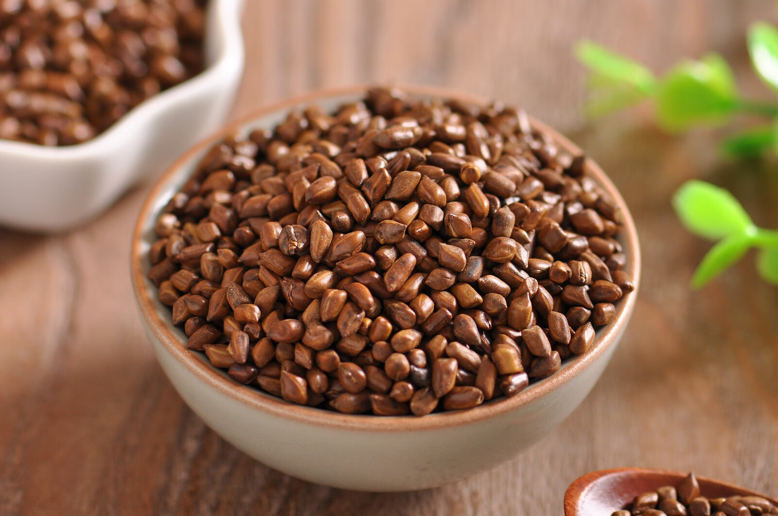 仲景炒决明子200g炒决明子200g