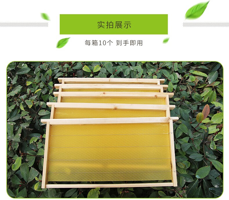 中蜂成品巢框带框巢础批发杉木蜂脾框组合巢脾巢皮蜂皮蜂列子架子养蜂